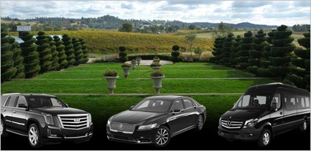 Amador Country Wine Tour Limo Rentals